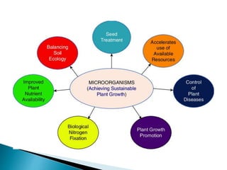 MICRO ORGANISMS.pptx