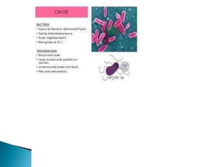 MICRO ORGANISMS.pptx