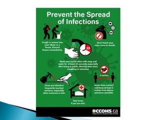 MICRO ORGANISMS.pptx