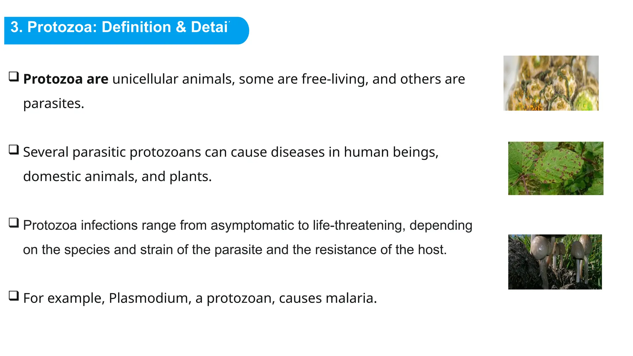 Microorganisms Science Chapter Class 8 CBSE | PPTX