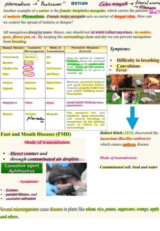 Micro organisms CBSE class 8 Science Ch 2.pptx