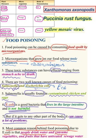 Micro organisms CBSE class 8 Science Ch 2.pptx