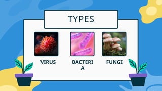 TYPES
VIRUS BACTERI
A
FUNGI
 