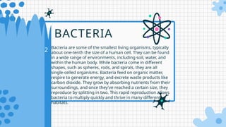 02 Bacteria are some of the smallest living organisms, typically
about one-tenth the size of a human cell. They can be found
in a wide range of environments, including soil, water, and
within the human body. While bacteria come in different
shapes, such as spheres, rods, and spirals, they are all
single-celled organisms. Bacteria feed on organic matter,
respire to generate energy, and excrete waste products like
carbon dioxide. They grow by absorbing nutrients from their
surroundings, and once they've reached a certain size, they
reproduce by splitting in two. This rapid reproduction allows
bacteria to multiply quickly and thrive in many different
habitats.
BACTERIA
 