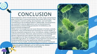 Microorganisms, which include bacteria, viruses, fungi, and protozoa,
play crucial roles in various processes that sustain life on Earth. They
are integral to nutrient cycling, decomposition, and soil health,
contributing to the ecological balance. Additionally, microorganisms
are essential in diverse applications such as food production
(fermentation), biotechnology (production of antibiotics), and
environmental management.
While some microorganisms can cause diseases in humans, animals,
and plants, many are beneficial and necessary for human health, as
they are essential components of our microbiome, aiding in digestion
and immune function. Moreover, advancements in microbiology and
genetic engineering have opened new avenues for harnessing
microorganisms for clean energy production, waste treatment, and
sustainable agriculture. In conclusion, microorganisms are diverse and
fundamental life forms that significantly influence ecosystem
dynamics, human health, and technological innovations. Continued
research and understanding of these organisms are essential for
addressing global challenges such as food security, disease
management, and environmental sustainability.
CONCLUSION
 