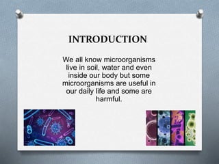 INTRODUCTION
We all know microorganisms
live in soil, water and even
inside our body but some
microorganisms are useful in
our daily life and some are
harmful.
 