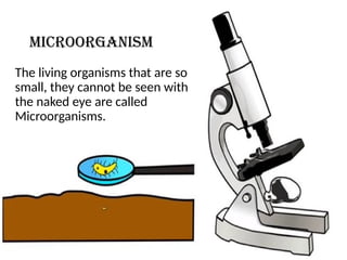 Science Class 8 microorganisms (1).pptx