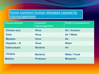 Human disease Causative
microorganism
Mode of transmisson
Chicken pox Virus Air / Contact
Polio Virus Air / Water
Measles Virus Air
Hepatitis – B Virus Water
Tuberculosis Bacteria Air
Cholera Bacteria Water / Food
Malaria Protozoa Mosquito
Some common human diseases caused by
microorganisms
 