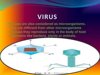 VIRUS
 Viruses are also considered as microorganisms.
They are different from other microorganisms
because they reproduce only in the body of host
organisms like bacteria, plants or animals.
 