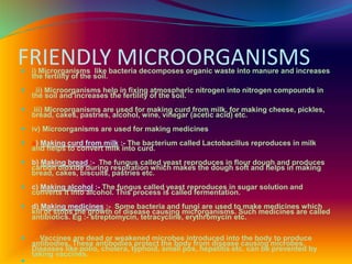 FRIENDLY MICROORGANISMS i) Microrganisms like bacteria decomposes organic waste into manure and increases
the fertility of the soil.
 ii) Microorganisms help in fixing atmospheric nitrogen into nitrogen compounds in
the soil and increases the fertility of the soil.
 iii) Microorganisms are used for making curd from milk, for making cheese, pickles,
bread, cakes, pastries, alcohol, wine, vinegar (acetic acid) etc.
 iv) Microorganisms are used for making medicines.
 a) Making curd from milk :- The bacterium called Lactobacillus reproduces in milk
and helps to convert milk into curd.
 b) Making bread :- The fungus called yeast reproduces in flour dough and produces
carbon dioxide during respiration which makes the dough soft and helps in making
bread, cakes, biscuits, pastries etc.
 c) Making alcohol :- The fungus called yeast reproduces in sugar solution and
converts it into alcohol. This process is called fermentation.
 d) Making medicines :- Some bacteria and fungi are used to make medicines which
kill or stops the growth of disease causing microrganisms. Such medicines are called
antibiotics. Eg :- streptomycin, tetracycline, erythromycin etc.
 Vaccines are dead or weakened microbes introduced into the body to produce
antibodies. These antibodies protect the body from disease causing microbes.
Diseases like polio, cholera, typhoid, small pox, hepatitis etc. can be prevented by
taking vaccines.

 