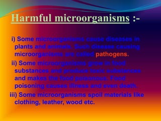 Harmful microorganisms :-
i) Some microorganisms cause diseases in
plants and animals. Such disease causing
microorganisms are called pathogens.
ii) Some microorganisms grow in food
substances and produce toxic substances
and makes the food poisonous. Food
poisoning causes illness and even death.
iii) Some microorganisms spoil materials like
clothing, leather, wood etc.
 