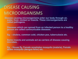 DISEASE CAUSING
MICROORGANISMS
Disease causing microorganisms enter our body through air,
water, food, contact or insects. These microorganisms are
called pathogens.
Diseases which can spread from an infected person to a healthy
person are called communicable diseases.
Eg :- cholera, common cold, chicken pox, tuberculosis etc.
Some insects and animals act as carriers of disease causing
microbes.
Eg :- House fly, Female anopheles mosquito (malaria), Female
aedes mosquito (dengue fever) etc.
 