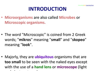 Microorganisms 1 KZLZ. | PPTX