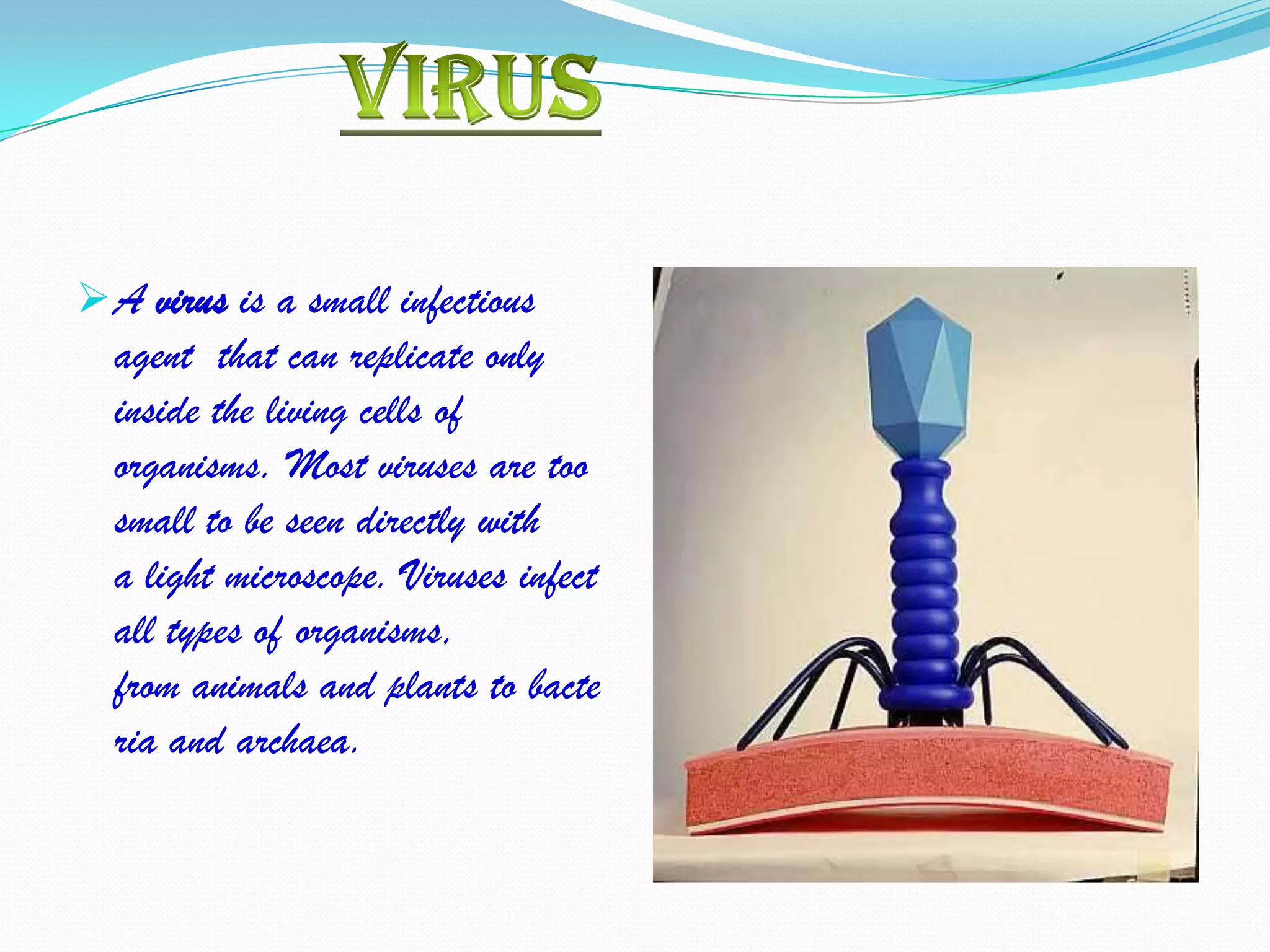  A virus is a small infectious
  agent that can replicate only
  inside the living cells of
  organisms. Most viruses are too
  small to be seen directly with
  a light microscope. Viruses infect
  all types of organisms,
  from animals and plants to bacte
  ria and archaea.
 