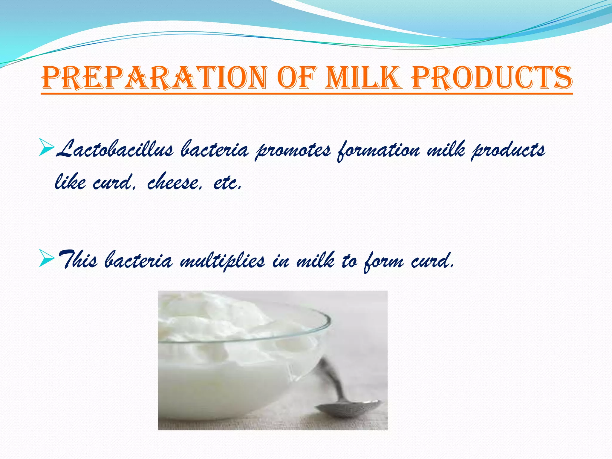 Preparation of milk products
Lactobacillus bacteria promotes formation milk products
  like curd, cheese, etc.

This bacteria multiplies in milk to form curd.
 
