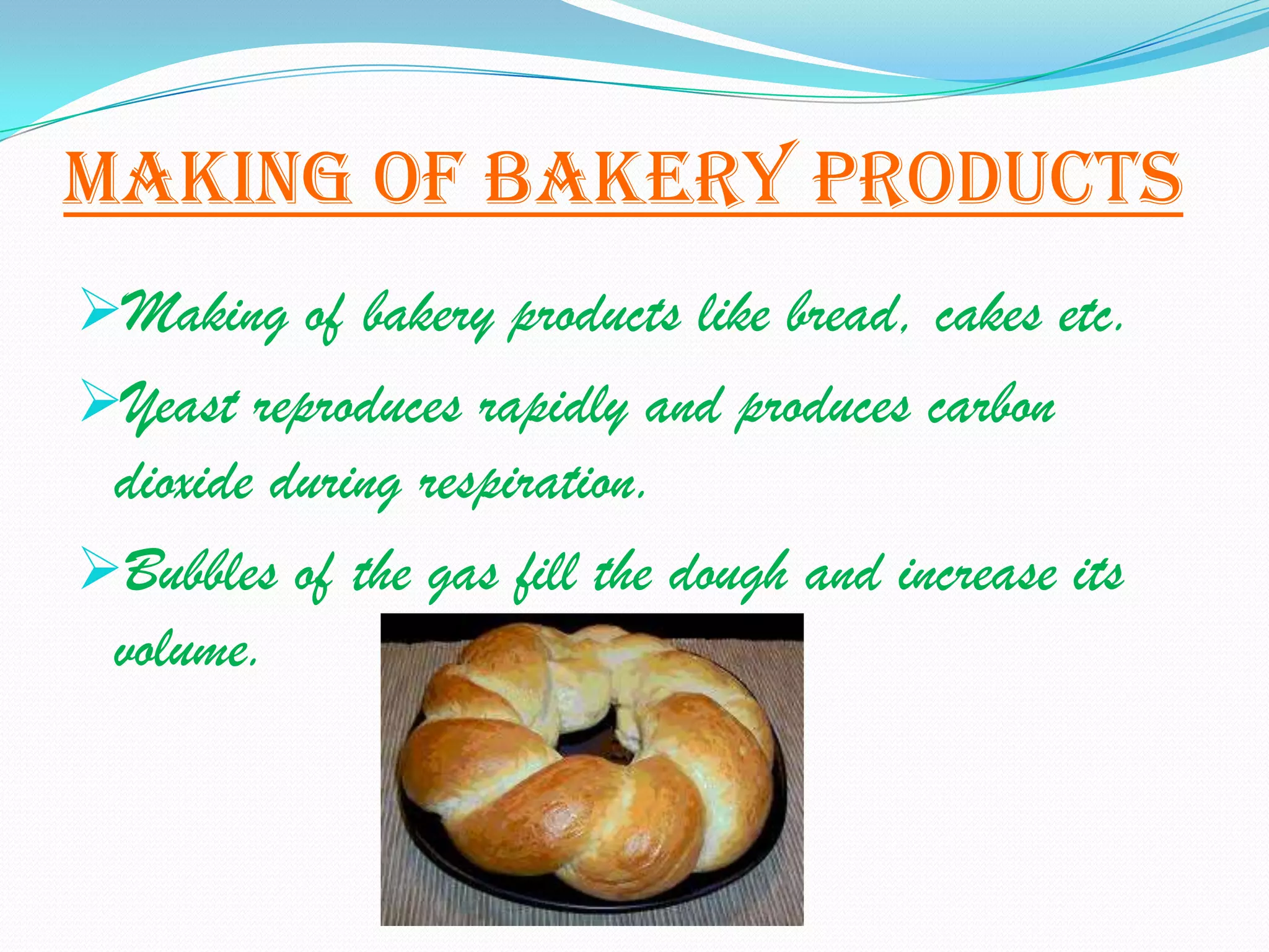 Making of bakery products
Making of bakery products like bread, cakes etc.
Yeast reproduces rapidly and produces carbon
 dioxide during respiration.
Bubbles of the gas fill the dough and increase its
 volume.
 