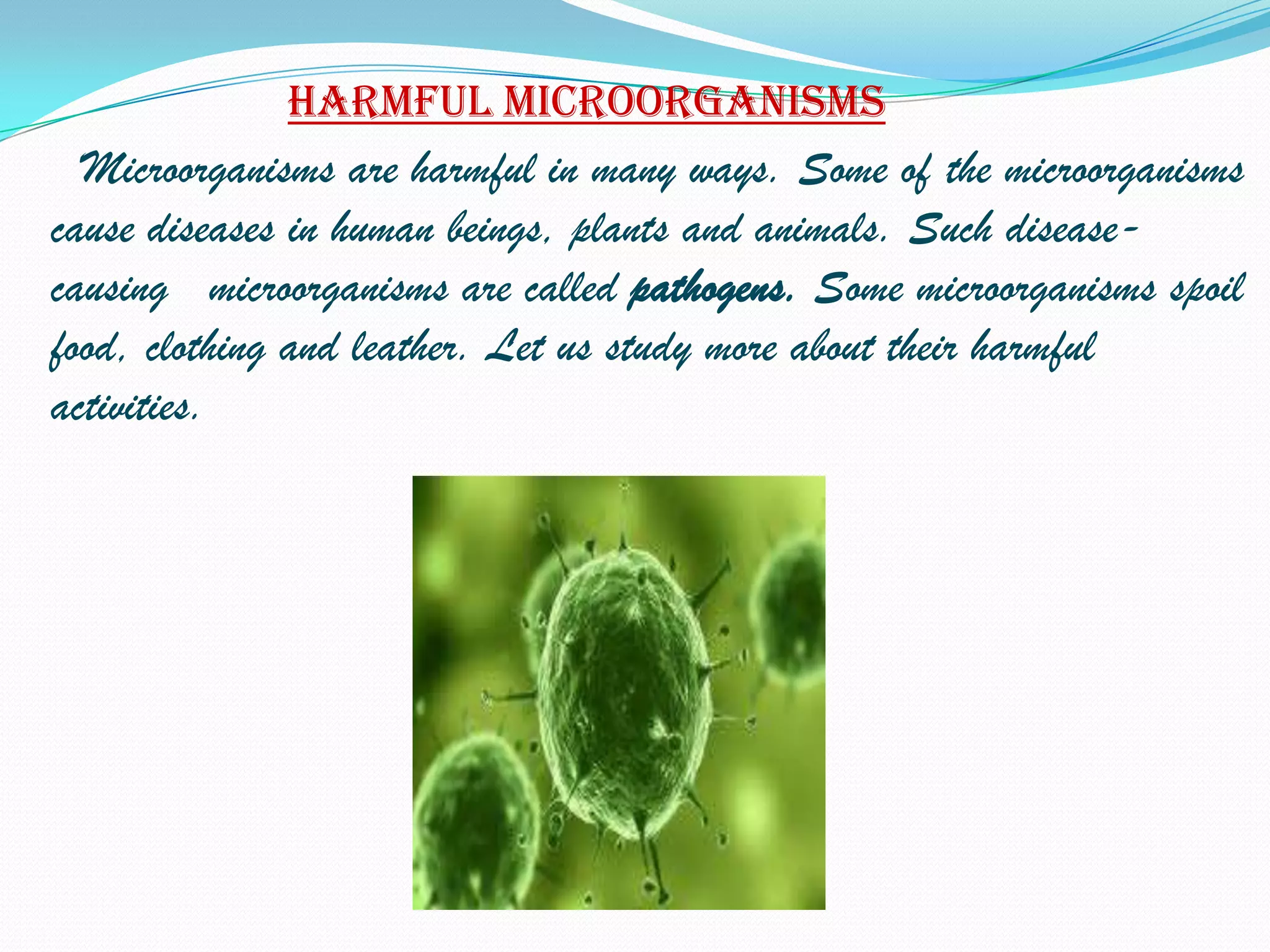 Harmful microorganisms
  Microorganisms are harmful in many ways. Some of the microorganisms
cause diseases in human beings, plants and animals. Such disease-
causing microorganisms are called pathogens. Some microorganisms spoil
food, clothing and leather. Let us study more about their harmful
activities.
 