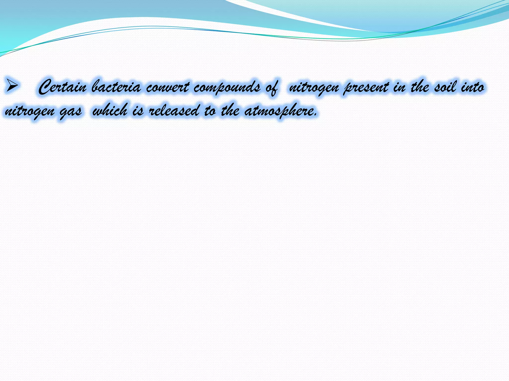  Certain bacteria convert compounds of nitrogen present in the soil into
nitrogen gas which is released to the atmosphere.
 
