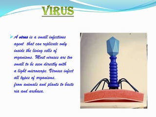  A virus is a small infectious
  agent that can replicate only
  inside the living cells of
  organisms. Most viruses are too
  small to be seen directly with
  a light microscope. Viruses infect
  all types of organisms,
  from animals and plants to bacte
  ria and archaea.
 