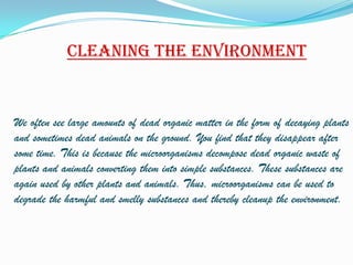 Cleaning the environment


We often see large amounts of dead organic matter in the form of decaying plants
and sometimes dead animals on the ground. You find that they disappear after
some time. This is because the microorganisms decompose dead organic waste of
plants and animals converting them into simple substances. These substances are
again used by other plants and animals. Thus, microorganisms can be used to
degrade the harmful and smelly substances and thereby cleanup the environment.
 