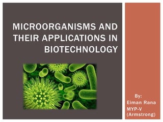 By:
Eiman Rana
MYP-V
(Armstrong)
MICROORGANISMS AND
THEIR APPLICATIONS IN
BIOTECHNOLOGY
 