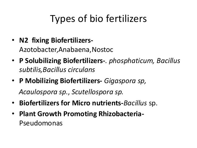Microorganisms As Biofertilizer