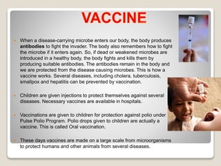  When a disease-carrying microbe enters our body, the body produces
antibodies to fight the invader. The body also remembers how to fight
the microbe if it enters again. So, if dead or weakened microbes are
introduced in a healthy body, the body fights and kills them by
producing suitable antibodies. The antibodies remain in the body and
we are protected from the disease causing microbes. This is how a
vaccine works. Several diseases, including cholera, tuberculosis,
smallpox and hepatitis can be prevented by vaccination.
 Children are given injections to protect themselves against several
diseases. Necessary vaccines are available in hospitals.
 Vaccinations are given to children for protection against polio under
Pulse Polio Program. Polio drops given to children are actually a
vaccine. This is called Oral vaccination.
 These days vaccines are made on a large scale from microorganisms
to protect humans and other animals from several diseases.
 