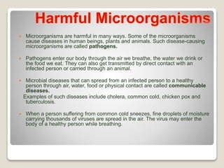  Microorganisms are harmful in many ways. Some of the microorganisms
cause diseases in human beings, plants and animals. Such disease-causing
microorganisms are called pathogens.
 Pathogens enter our body through the air we breathe, the water we drink or
the food we eat. They can also get transmitted by direct contact with an
infected person or carried through an animal.
 Microbial diseases that can spread from an infected person to a healthy
person through air, water, food or physical contact are called communicable
diseases.
Examples of such diseases include cholera, common cold, chicken pox and
tuberculosis.
 When a person suffering from common cold sneezes, fine droplets of moisture
carrying thousands of viruses are spread in the air. The virus may enter the
body of a healthy person while breathing.
 