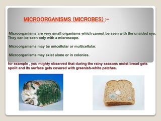 MICROORGANISMS (MICROBES) :-
•Microorganisms are very small organisms which cannot be seen with the unaided eye.
They can be seen only with a microscope.
•Microorganisms may be unicellular or multicellular.
•Microorganisms may exist alone or in colonies.
for example , you mighty observed that during the rainy seasons moist bread gets
spoilt and its surface gets covered with greenish-white patches.
 