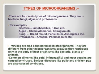 TYPES OF MICROORGANISMS :-
•There are four main types of microorganisms. They are :-
bacteria, fungi, algae and protozoans.
• for example:-
Bacteria – lactobaccilus, E.Coli etc.
Algae – Chlamydomonas, Spirogyra etc.
Fungi – Bread mould, Penicillium, Aspergilles etc.
Protozoans – Amoeba, Paramaecium etc.
• Viruses are also considered as microorganisms. They are
different from other microorganisms because they reproduce
only in the body of host organisms like bacteria, plants or
animals.
•Common ailments like cold, influenza(flu) and most coughs are
caused by viruses. Serious diseases like polio and chicken pox
are also caused by viruses.
 