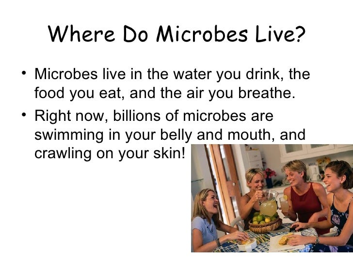 Do All Single Celled Organisms Food Do All Single Celled Organisms Food