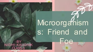 Microorganism
s: Friend and
Foe-BY
NIDHI KAUSHIK
CLASS-8
 