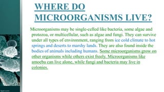 WHERE DO
MICROORGANISMS LIVE?
Microorganisms may be single-celled like bacteria, some algae and
protozoa, or multicellular, such as algae and fungi. They can survive
under all types of environment, ranging from ice cold climate to hot
springs and deserts to marshy lands. They are also found inside the
bodies of animals including humans. Some microorganisms grow on
other organisms while others exist freely. Microorganisms like
amoeba can live alone, while fungi and bacteria may live in
colonies.
 