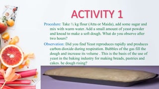 ACTIVITY 1
Procedure: Take ½ kg flour (Atta or Maida), add some sugar and
mix with warm water. Add a small amount of yeast powder
and knead to make a soft dough. What do you observe after
two hours?
Observation: Did you find Yeast reproduces rapidly and produces
carbon dioxide during respiration. Bubbles of the gas fill the
dough and increase its volume . This is the basis of the use of
yeast in the baking industry for making breads, pastries and
cakes. he dough rising?
 