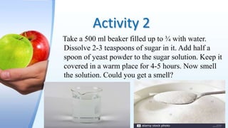 Activity 2
Take a 500 ml beaker filled up to ¾ with water.
Dissolve 2-3 teaspoons of sugar in it. Add half a
spoon of yeast powder to the sugar solution. Keep it
covered in a warm place for 4-5 hours. Now smell
the solution. Could you get a smell?
 