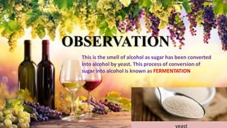 OBSERVATION
yeast
This is the smell of alcohol as sugar has been converted
into alcohol by yeast. This process of conversion of
sugar into alcohol is known as FERMENTATION
 