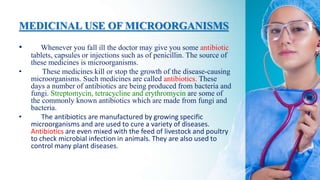 MEDICINAL USE OF MICROORGANISMS
• Whenever you fall ill the doctor may give you some antibiotic
tablets, capsules or injections such as of penicillin. The source of
these medicines is microorganisms.
• These medicines kill or stop the growth of the disease-causing
microorganisms. Such medicines are called antibiotics. These
days a number of antibiotics are being produced from bacteria and
fungi. Streptomycin, tetracycline and erythromycin are some of
the commonly known antibiotics which are made from fungi and
bacteria.
• The antibiotics are manufactured by growing specific
microorganisms and are used to cure a variety of diseases.
Antibiotics are even mixed with the feed of livestock and poultry
to check microbial infection in animals. They are also used to
control many plant diseases.
 