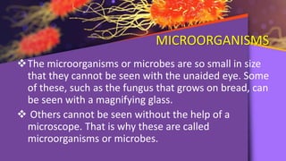 MICROORGANISMS
The microorganisms or microbes are so small in size
that they cannot be seen with the unaided eye. Some
of these, such as the fungus that grows on bread, can
be seen with a magnifying glass.
 Others cannot be seen without the help of a
microscope. That is why these are called
microorganisms or microbes.
 