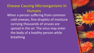 Disease Causing Microorganisms In
Humans
When a person suffering from common
cold sneezes, fine droplets of moisture
carrying thousands of viruses are
spread in the air. The virus may enter
the body of a healthy person while
breathing
 