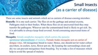 Small Insects
(as a carrier of disease)
There are some insects and animals which act as carriers of disease-causing microbes:
Housefly: It is one such carrier. The flies sit on the garbage and animal excreta.
Pathogens stick to their bodies. When these flies sit on uncovered food they may
transfer the pathogens. Whoever eats the contaminated food is likely to get sick. So,
it is advisable to always keep food covered. Avoid consuming uncovered items of
food.
Mosquito: female anopheles mosquito which carries the parasite
(protozoa=plasmodium) of malaria. Female Aedes mosquito acts as carrier of
dengue virus. All mosquitoes breed in water. Hence, one should not let water collect
anywhere, in coolers, tyres, flower pot etc. By keeping the surroundings clean and
dry we can prevent mosquitoes from breeding. Try to make a list of measures which
help to avoid the spread of malaria.
 