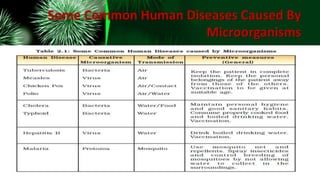 Some Common Human Diseases Caused By
Microorganisms
 