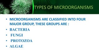 TYPES OF MICROORGANISMS
• MICROORGANISMS ARE CLASSIFIED INTO FOUR
MAJOR GROUP, THESE GROUPS ARE :
• BACTERIA
• FUNGI
• PROTOZOA
• ALGAE
 