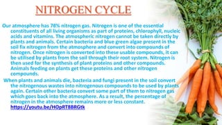 NITROGEN CYCLE
Our atmosphere has 78% nitrogen gas. Nitrogen is one of the essential
constituents of all living organisms as part of proteins, chlorophyll, nucleic
acids and vitamins. The atmospheric nitrogen cannot be taken directly by
plants and animals. Certain bacteria and blue green algae present in the
soil fix nitrogen from the atmosphere and convert into compounds of
nitrogen. Once nitrogen is converted into these usable compounds, it can
be utilised by plants from the soil through their root system. Nitrogen is
then used for the synthesis of plant proteins and other compounds.
Animals feeding on plants get these proteins and other nitrogen
compounds.
When plants and animals die, bacteria and fungi present in the soil convert
the nitrogenous wastes into nitrogenous compounds to be used by plants
again. Certain other bacteria convert some part of them to nitrogen gas
which goes back into the atmosphere. As a result, the percentage of
nitrogen in the atmosphere remains more or less constant.
https://youtu.be/HOpRT8BRGtk
 