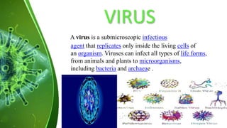 VIRUS
A virus is a submicroscopic infectious
agent that replicates only inside the living cells of
an organism. Viruses can infect all types of life forms,
from animals and plants to microorganisms,
including bacteria and archaeae .
 