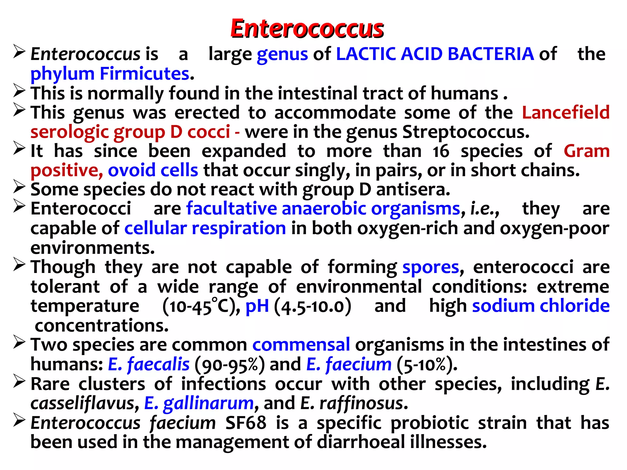 Microorganisms important in livestock products | PPT