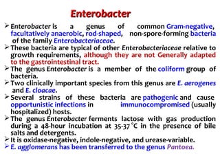 Microorganisms important in livestock products | PPT