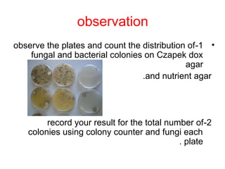 observation
•1-observe the plates and count the distribution of
fungal and bacterial colonies on Czapek dox
agar
and nutrient agar.
2-record your result for the total number of
colonies using colony counter and fungi each
plate.
 