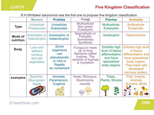 Microorganisms in food | PPTX