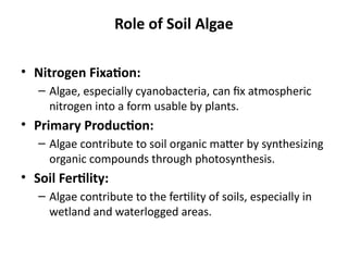 Role of Soil Algae
• Nitrogen Fixation:
– Algae, especially cyanobacteria, can fix atmospheric
nitrogen into a form usable by plants.
• Primary Production:
– Algae contribute to soil organic matter by synthesizing
organic compounds through photosynthesis.
• Soil Fertility:
– Algae contribute to the fertility of soils, especially in
wetland and waterlogged areas.
 