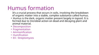 The Humification Process MICROORGANISMS IN SOIL PROCESSES (1) (2).pptx